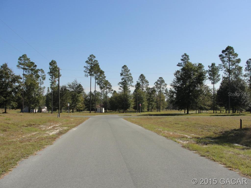 Tbd Tbd Turkey Ridge Rd Lake Lake Butler, FL 32054 - Photo 1 of 1