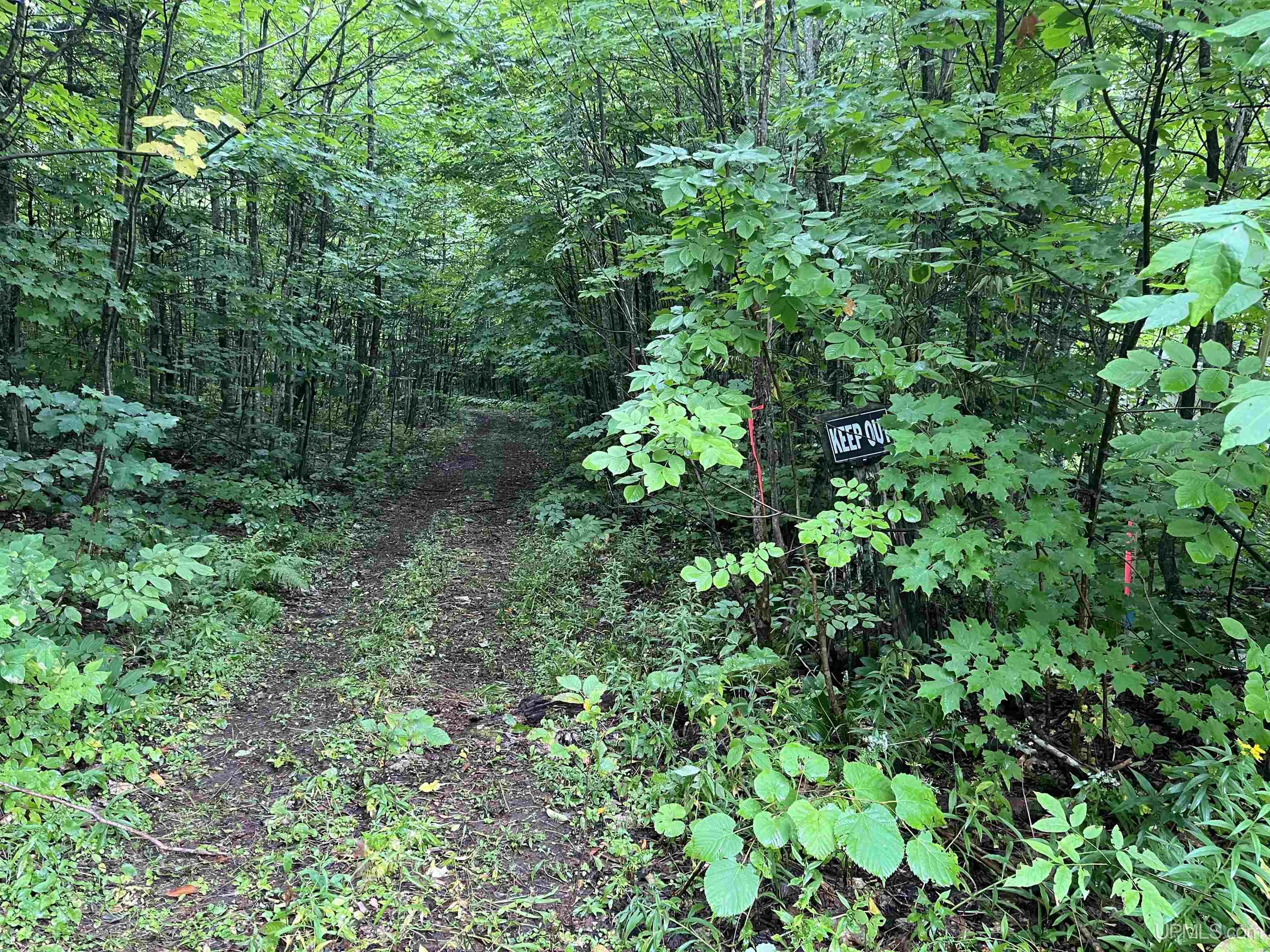 Tbd Tbd Algoma Road Mass City, MI 49948 - Photo 4 of 9