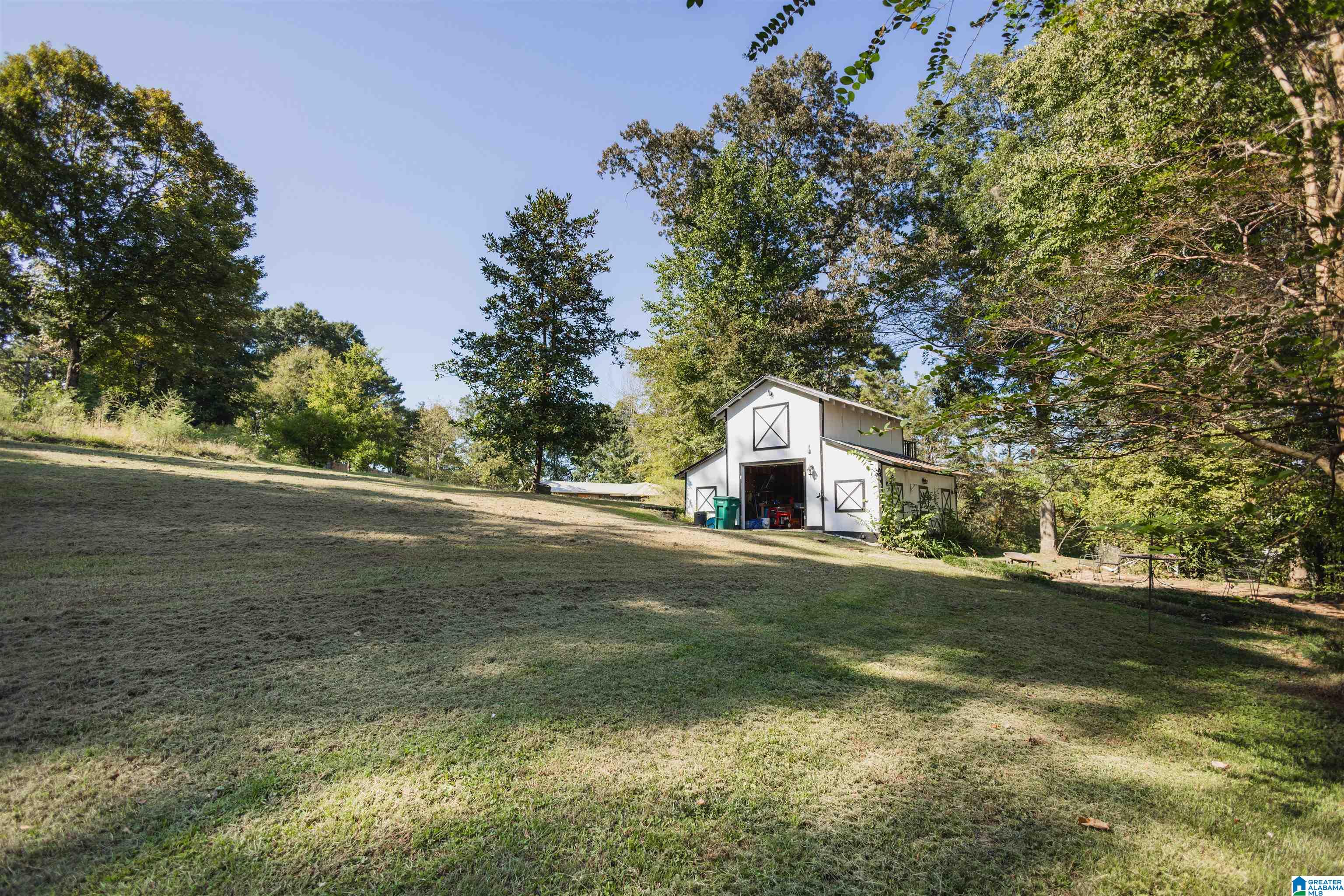 6069 Highway 11 Springville, AL 35146 - Photo 59 of 76