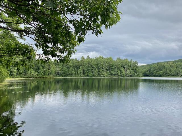 0 Brownfield Road Hiram, ME 04041 - Photo 3 of 19