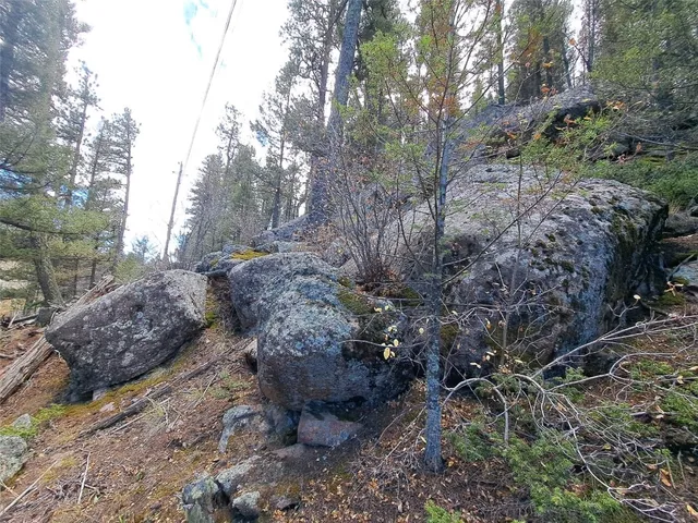 a big yard with lots of green space