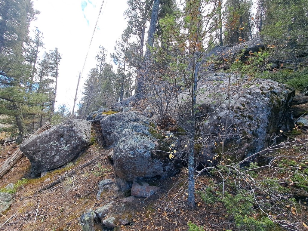 1077 Roland Drive Bailey, CO 80421 - Photo 12 of 17 a big yard with lots of green space