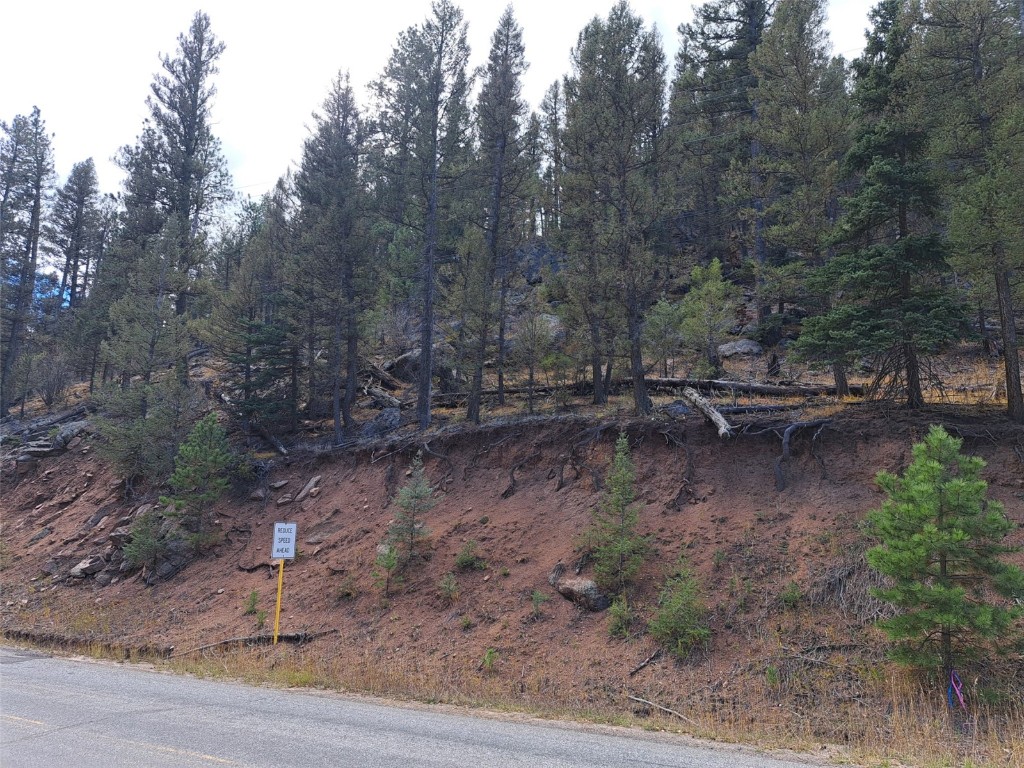 1077 Roland Drive Bailey, CO 80421 - Photo 15 of 17 a view of a backyard with green space