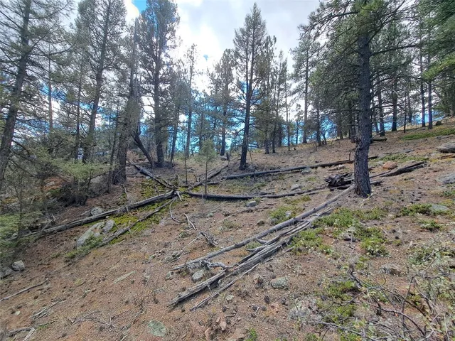 a view of a yard with lots of green space