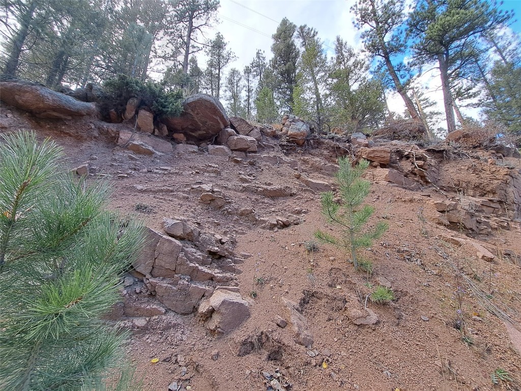 1077 Roland Drive Bailey, CO 80421 - Photo 8 of 17 a view of outdoor space and forest