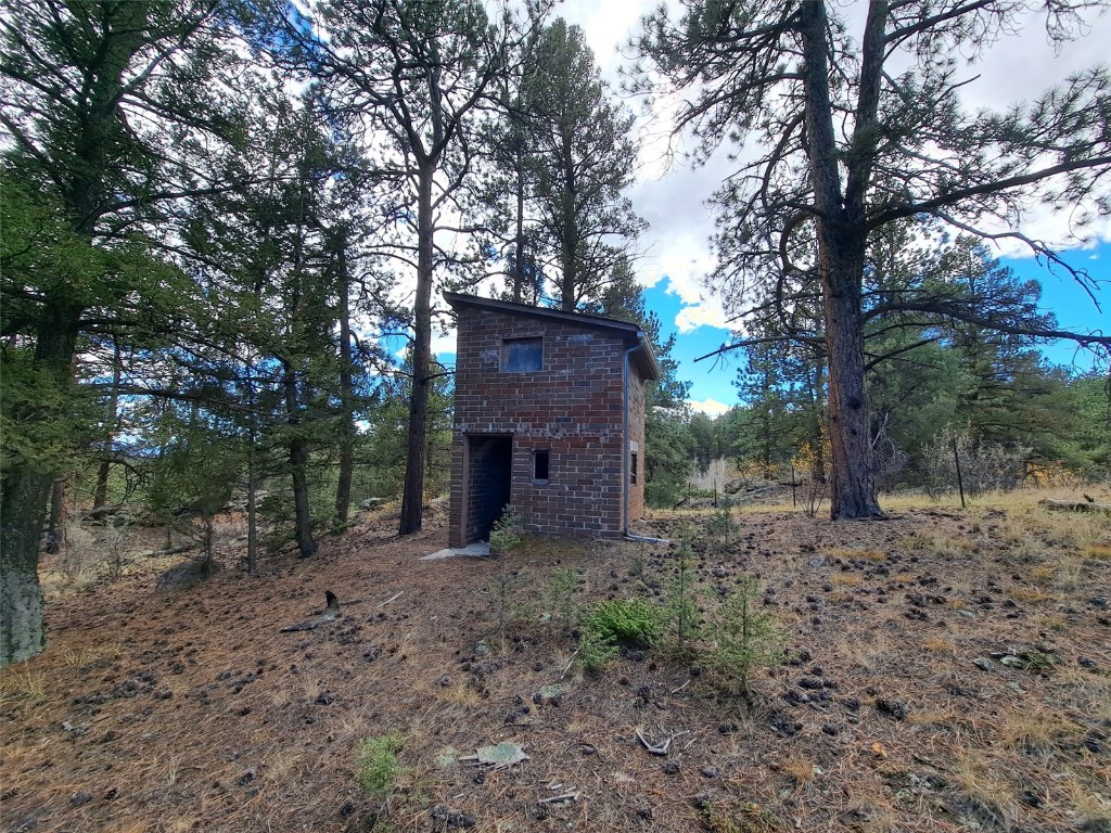 1077 Roland Drive Bailey, CO 80421 - Photo 10 of 17 a backyard of a house with lots of green space