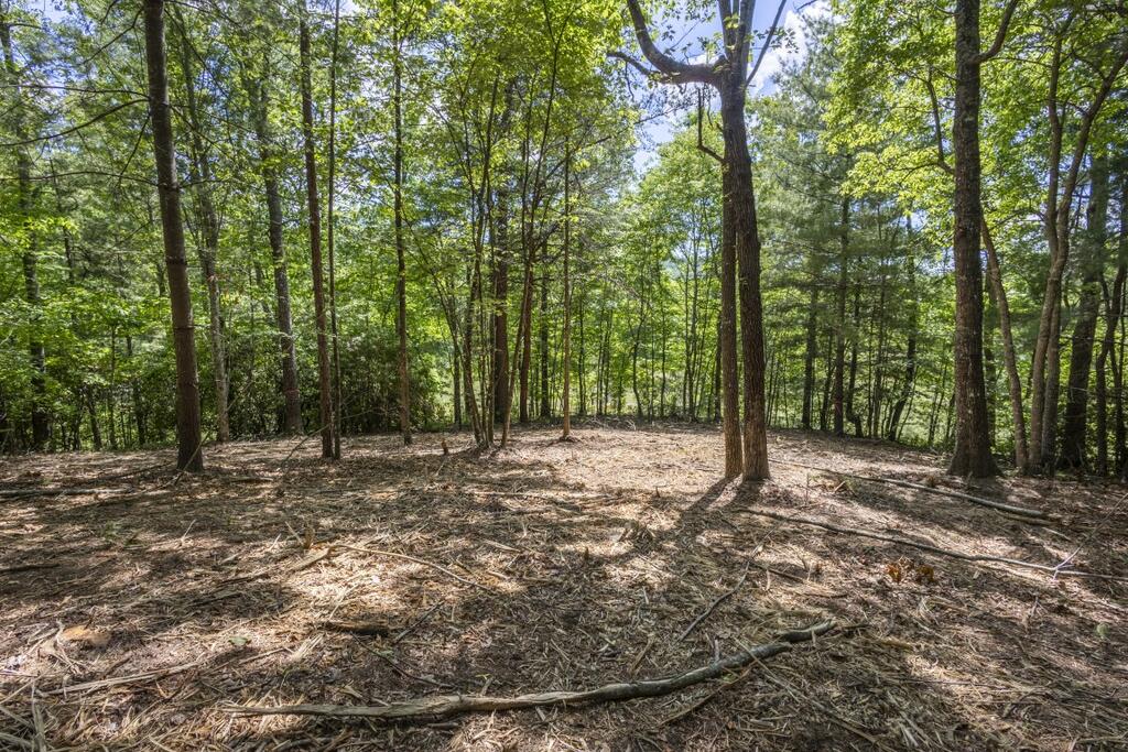34-ac Donley Road Murphy, NC 28906 - Photo 20 of 37 Gallery Image 20