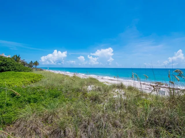 a view of a lake from a yard