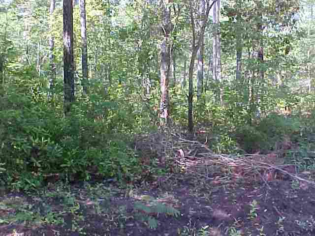 0 Hugo Road Conway, SC 29527 - Photo 1 of 2