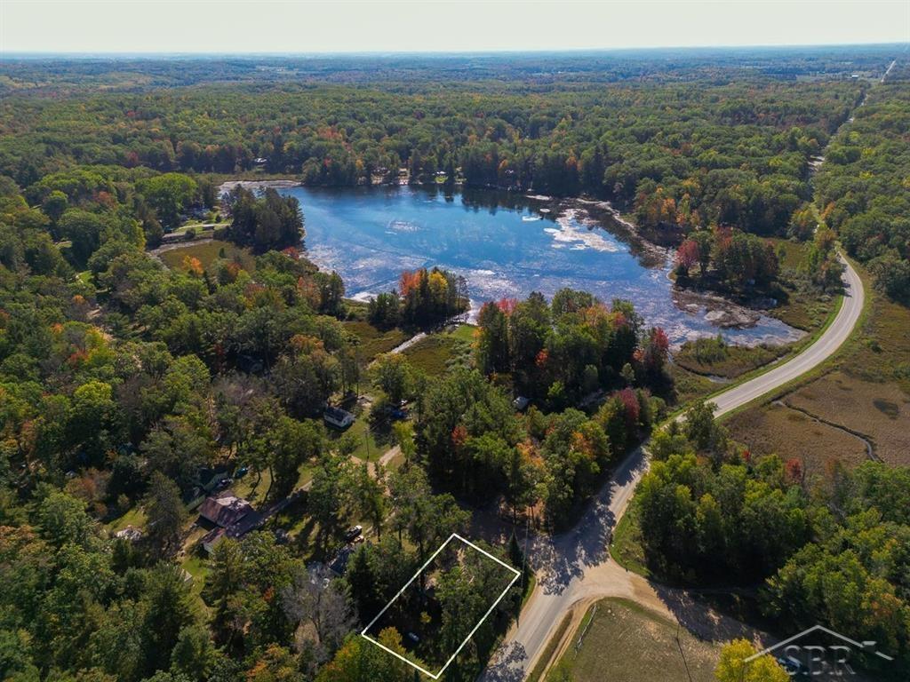 5488 Morrow Road Gladwin, MI 48624 - Photo 7 of 23