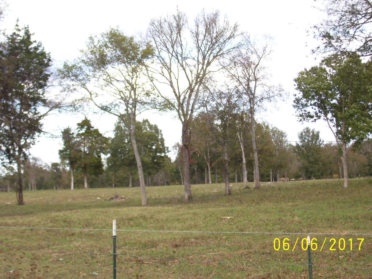 1965 Word Road Lewisburg, TN 37091 - Photo 2 of 4 Gallery Image 2