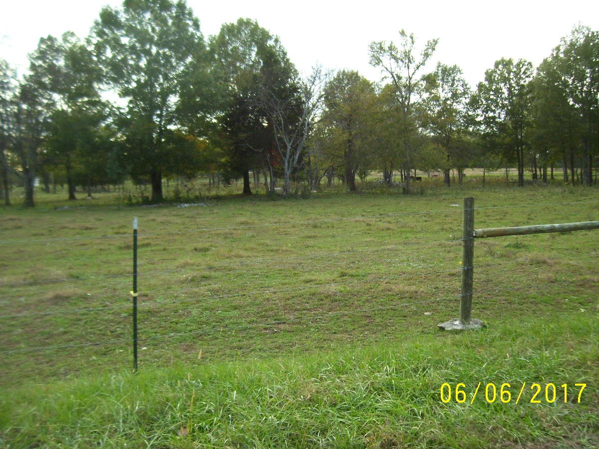 1965 Word Road Lewisburg, TN 37091 - Photo 3 of 4 Gallery Image 3