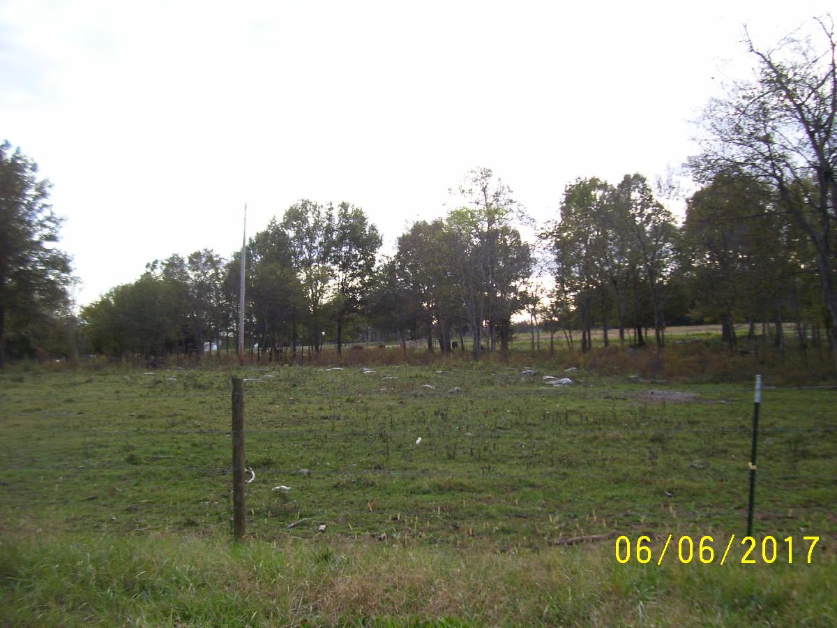 1965 Word Road Lewisburg, TN 37091 - Photo 4 of 4 Gallery Image 4