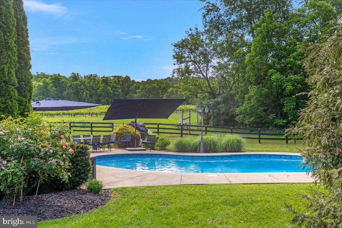 450 Green Spring Road Winchester, VA 22603 - Photo 29 of 66 Beautiful In Ground Pool
