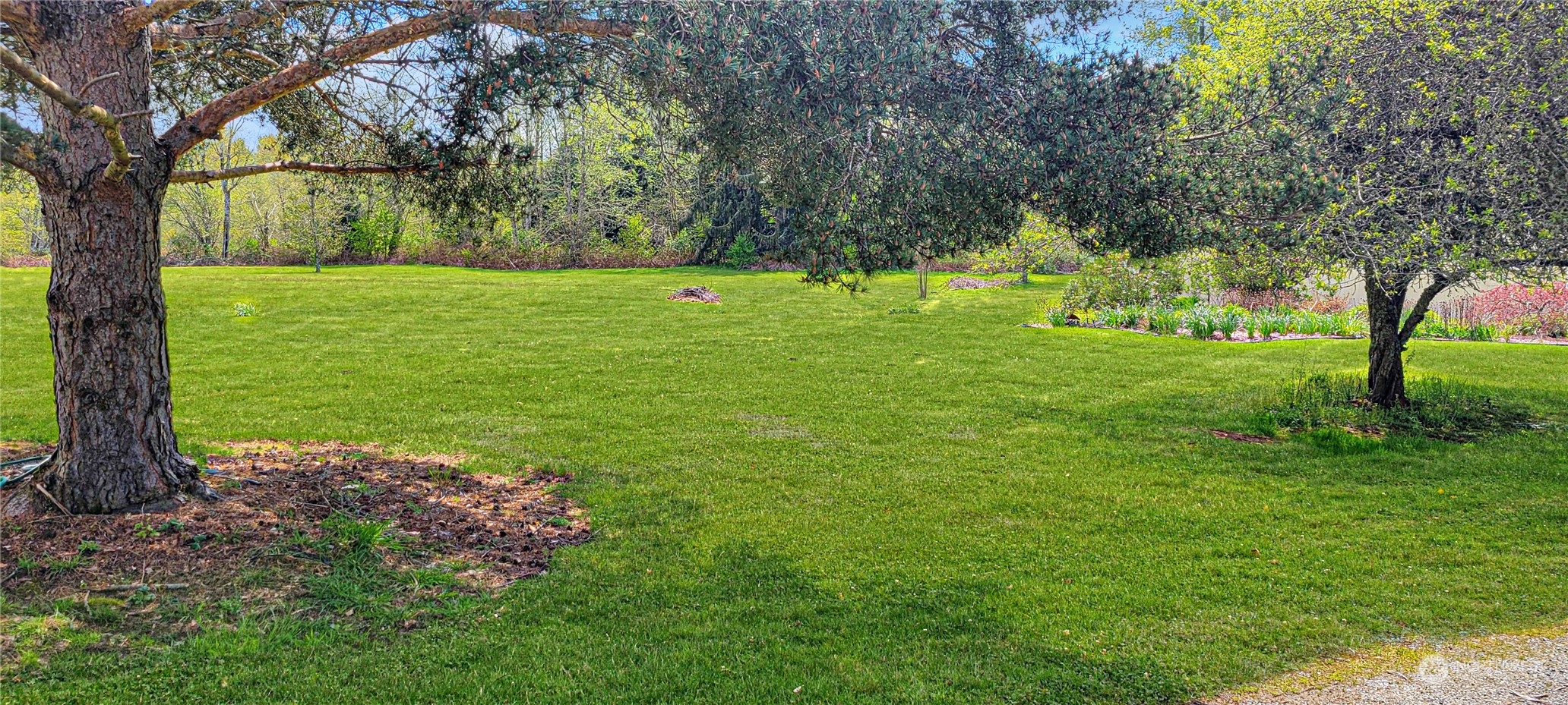 3065 Butler Creek Road Sedro-Woolley, WA 98284 - Photo 24 of 36 Gallery Image 24