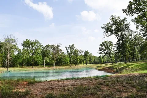 a view of a park with large trees