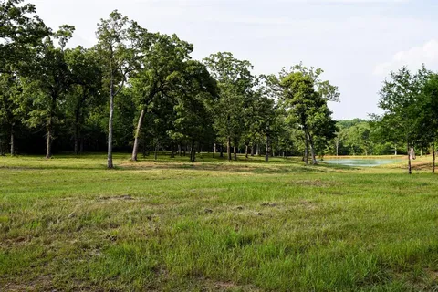 a view of a trees with a yard
