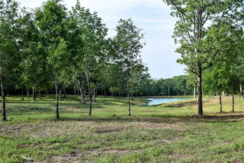 a view of a garden