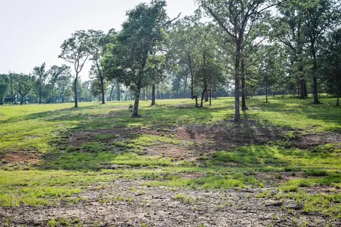 a view of a grassy field with trees in the background