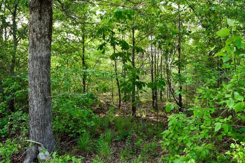 $550,000 | 1507 Vz County Road 1507 Road, Grand Saline, TX 75140
