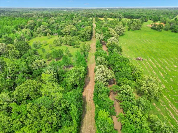 an aerial view of residential houses with outdoor space and trees