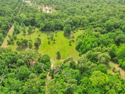 a view of a yard with trees