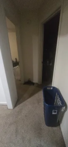 a view of water heater room