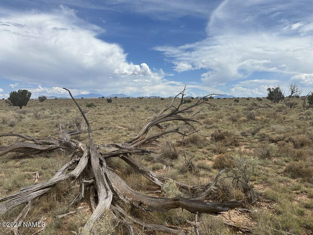 1140 Valle Road, Unit 5 Williams, AZ 86046 - Photo 14 of 14 e14c5530-9a1c-4a07-92cd-f7bd9b34fd30