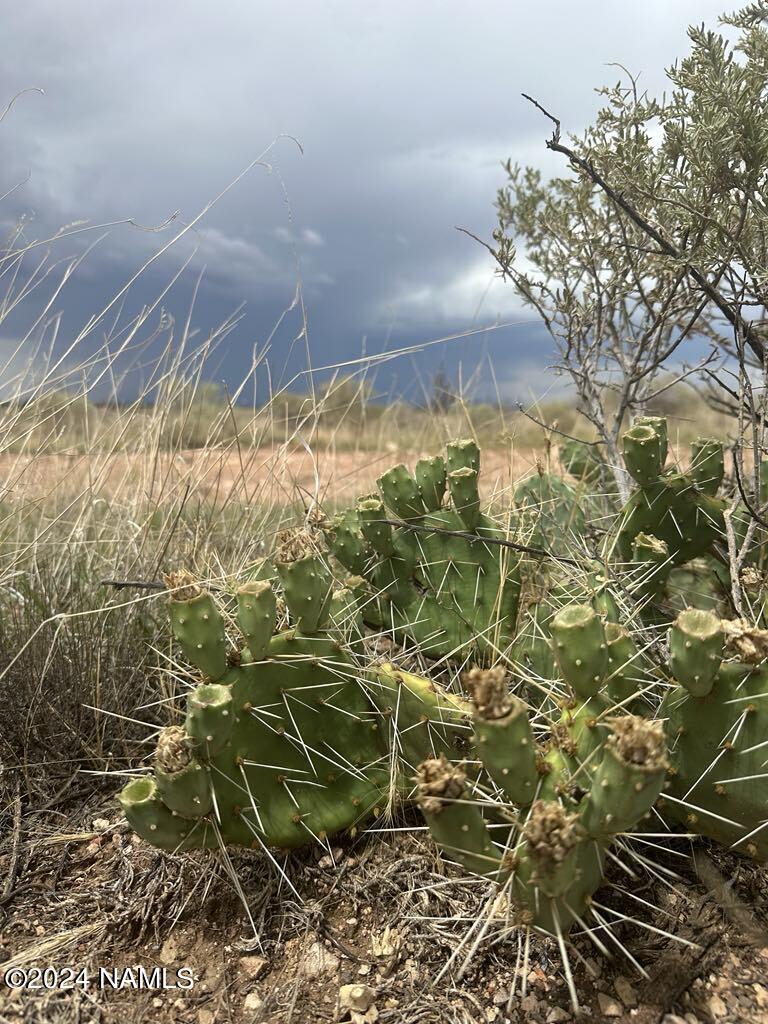 1140 Valle Road, Unit 5 Williams, AZ 86046 - Photo 3 of 14 c73232af-296f-476d-8e78-5213bb7c0b20