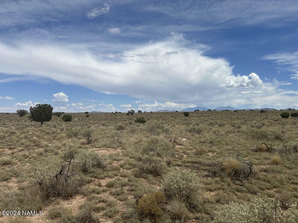 1140 Valle Road, Unit 5 Williams, AZ 86046 - Photo 7 of 14 6ae9c259-61a0-4c2b-aaf4-d9309c2bd01f