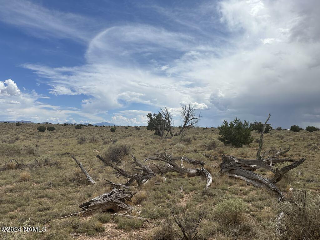 1140 Valle Road, Unit 5 Williams, AZ 86046 - Photo 9 of 14 7338fa2b-6a09-4822-9b44-ec183970999f