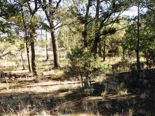 2131 Fishermans Road Overgaard, AZ 85933 - Photo 1 of 3 a view of outdoor space with yard