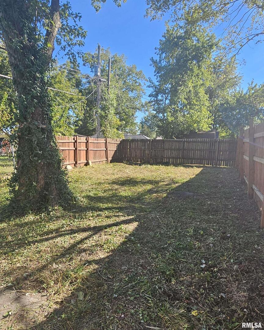 104 South Park Street Hurst, IL 62949 - Photo 3 of 16