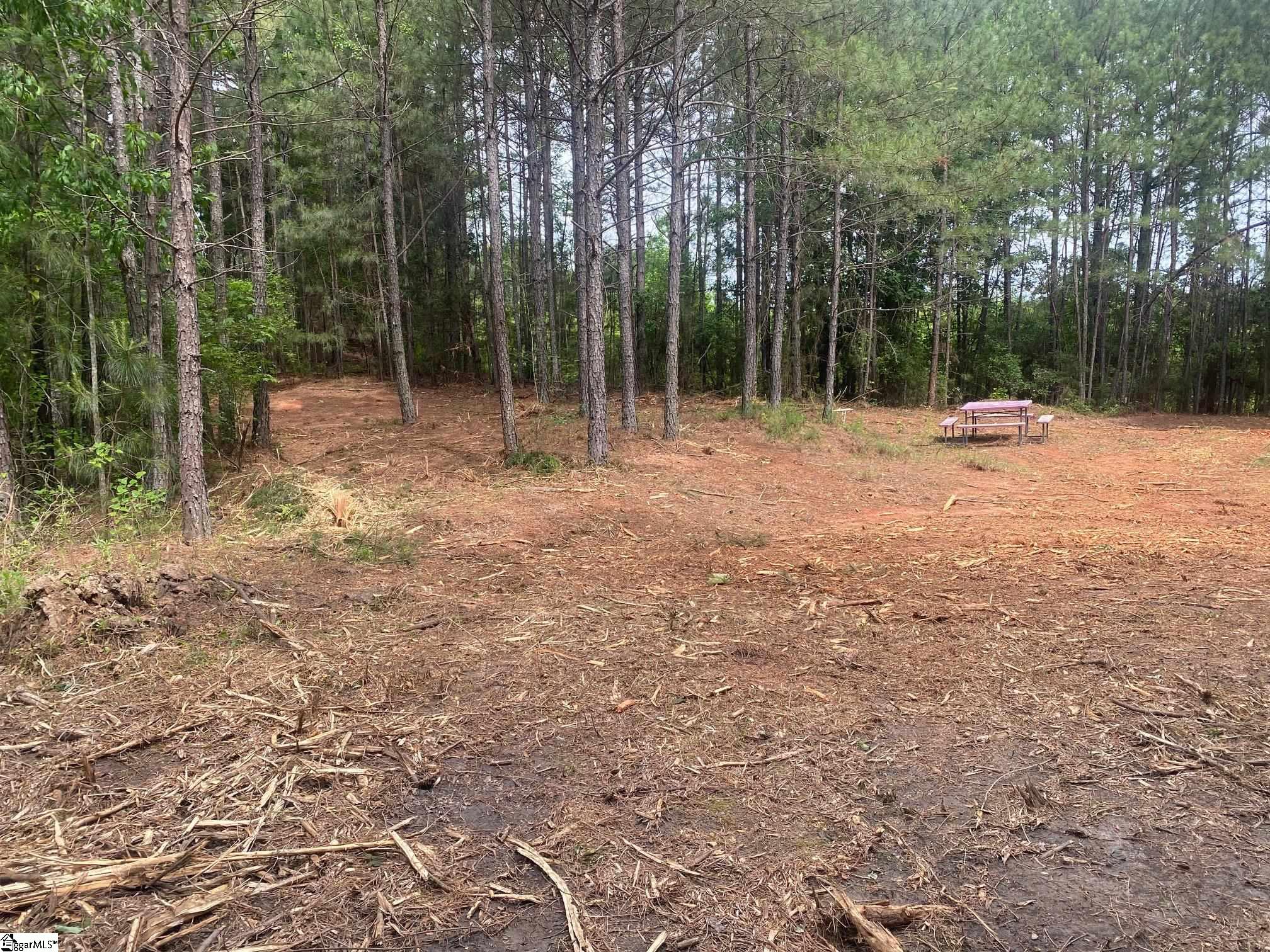 195 Commerce Avenue Clinton, SC 29325 - Photo 4 of 11