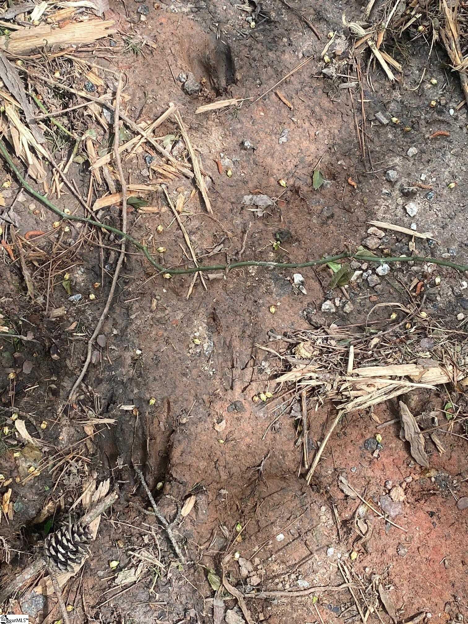 195 Commerce Avenue Clinton, SC 29325 - Photo 9 of 11