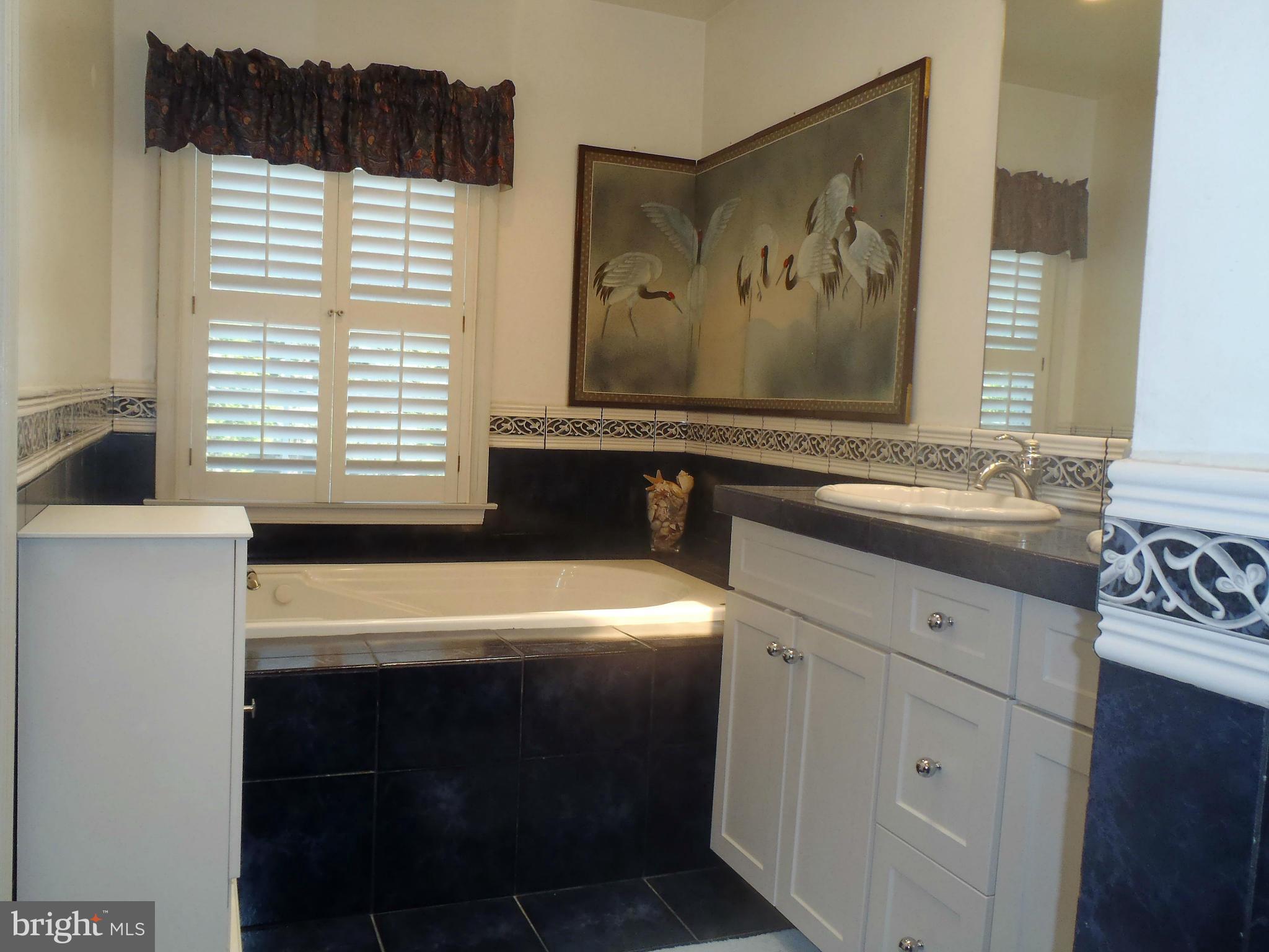 2316 Pondside Terrace Silver Spring, MD 20906 - Photo 14 of 23 Bath (Master)