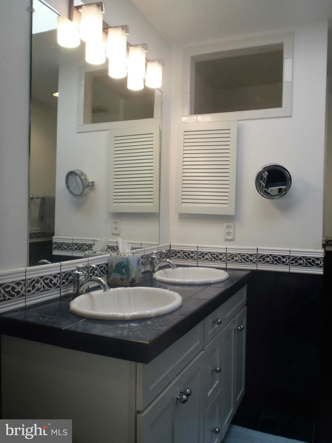 2316 Pondside Terrace Silver Spring, MD 20906 - Photo 15 of 23 Bath (Master)