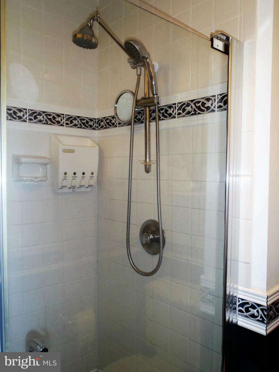 2316 Pondside Terrace Silver Spring, MD 20906 - Photo 16 of 23 Bath (Master)