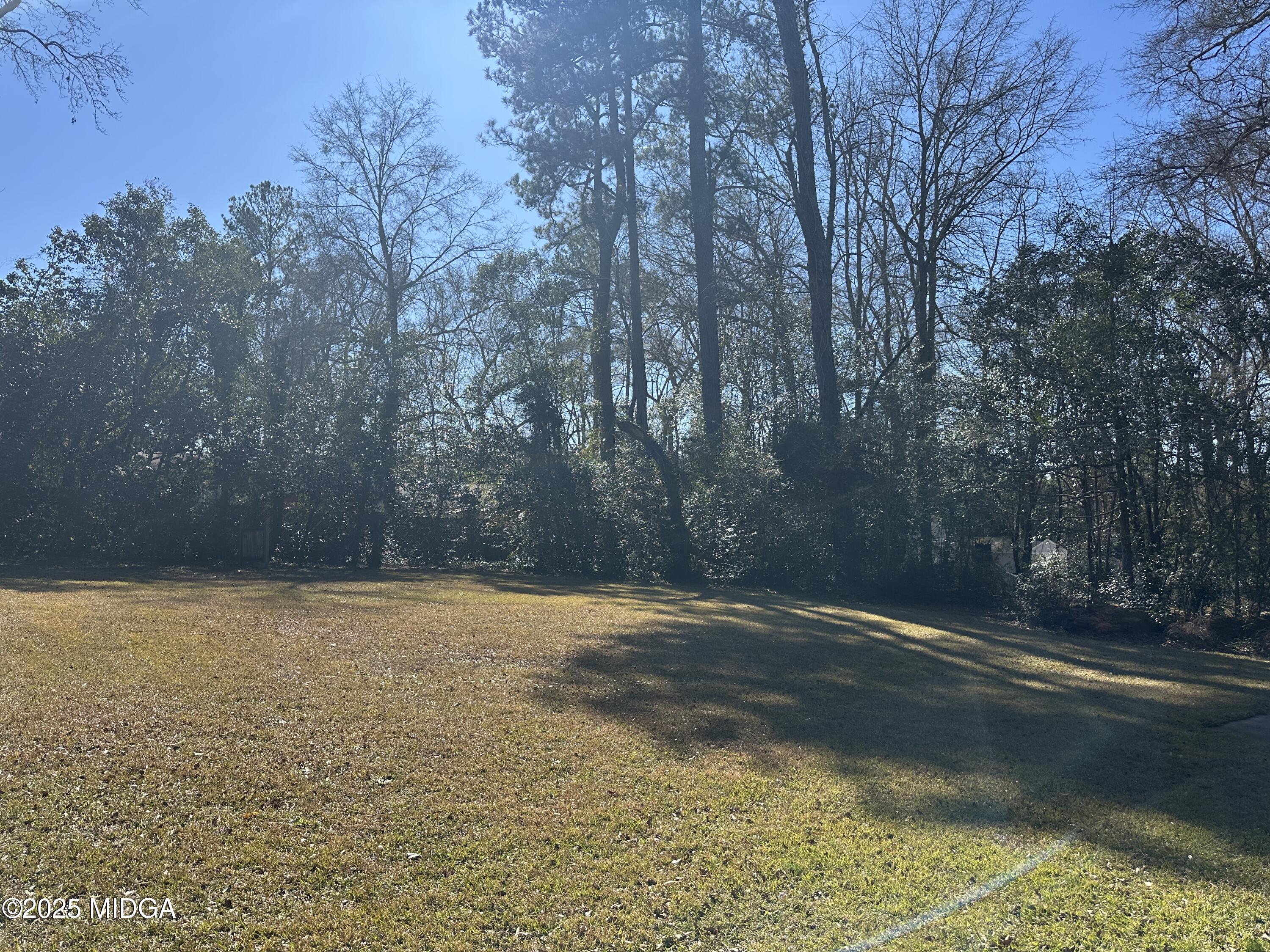 370 Sunset Circle Forsyth, GA 31029 - Photo 10 of 10 10