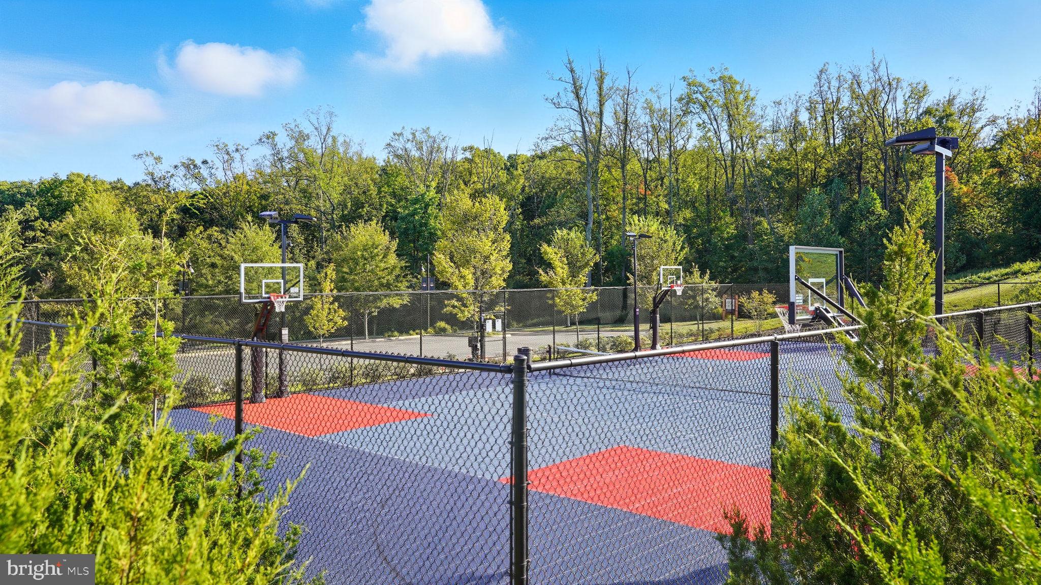 2190 Hemlock Bay Road Dumfries, VA 22026 - Photo 39 of 50 Basket Ball Courts & More!