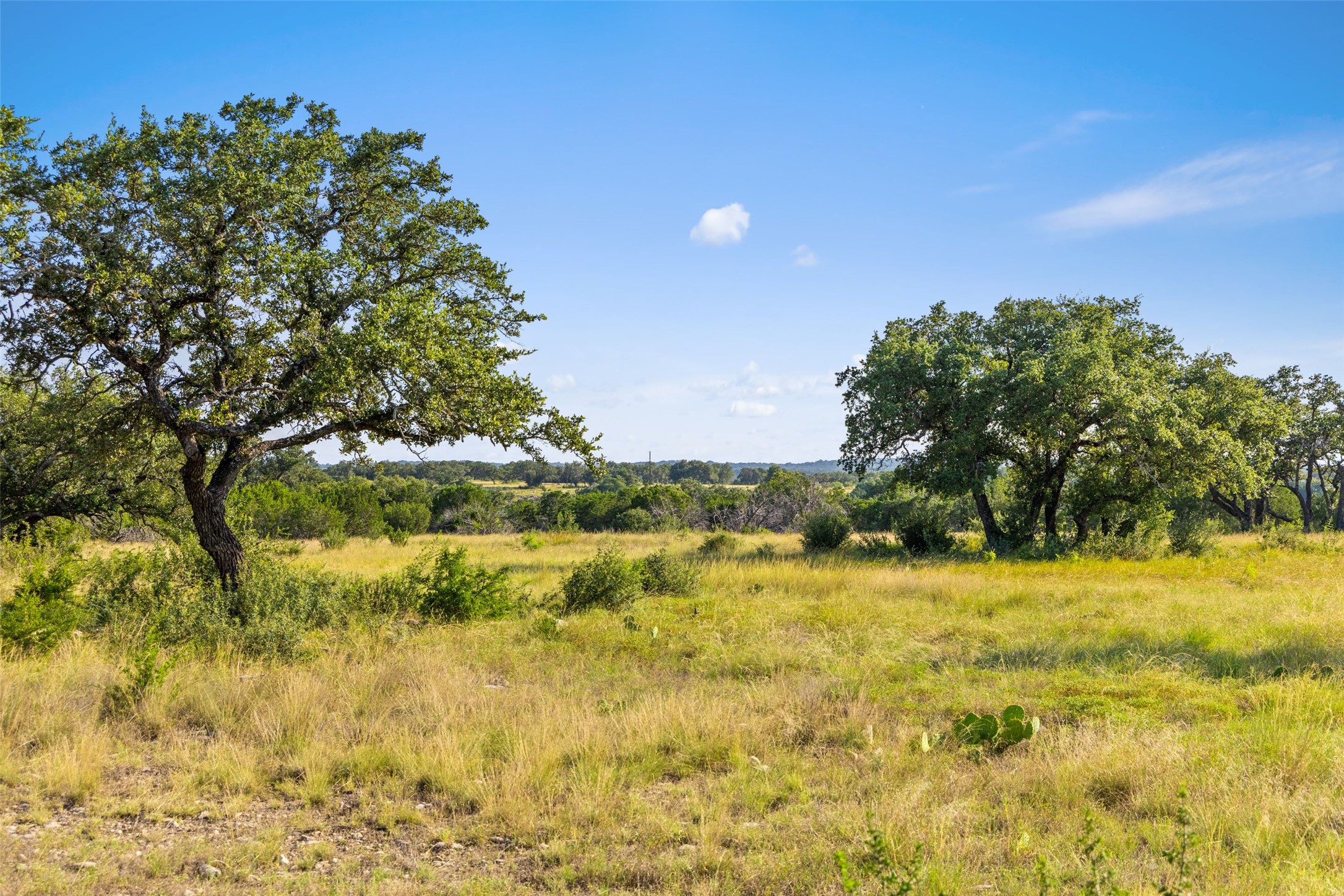 2915 Spring Crossing Junction, TX 76849 - Photo 13 of 31 Vast, open terrain offers a serene escape, punctuated by mature trees and natural flora under a wide sky.