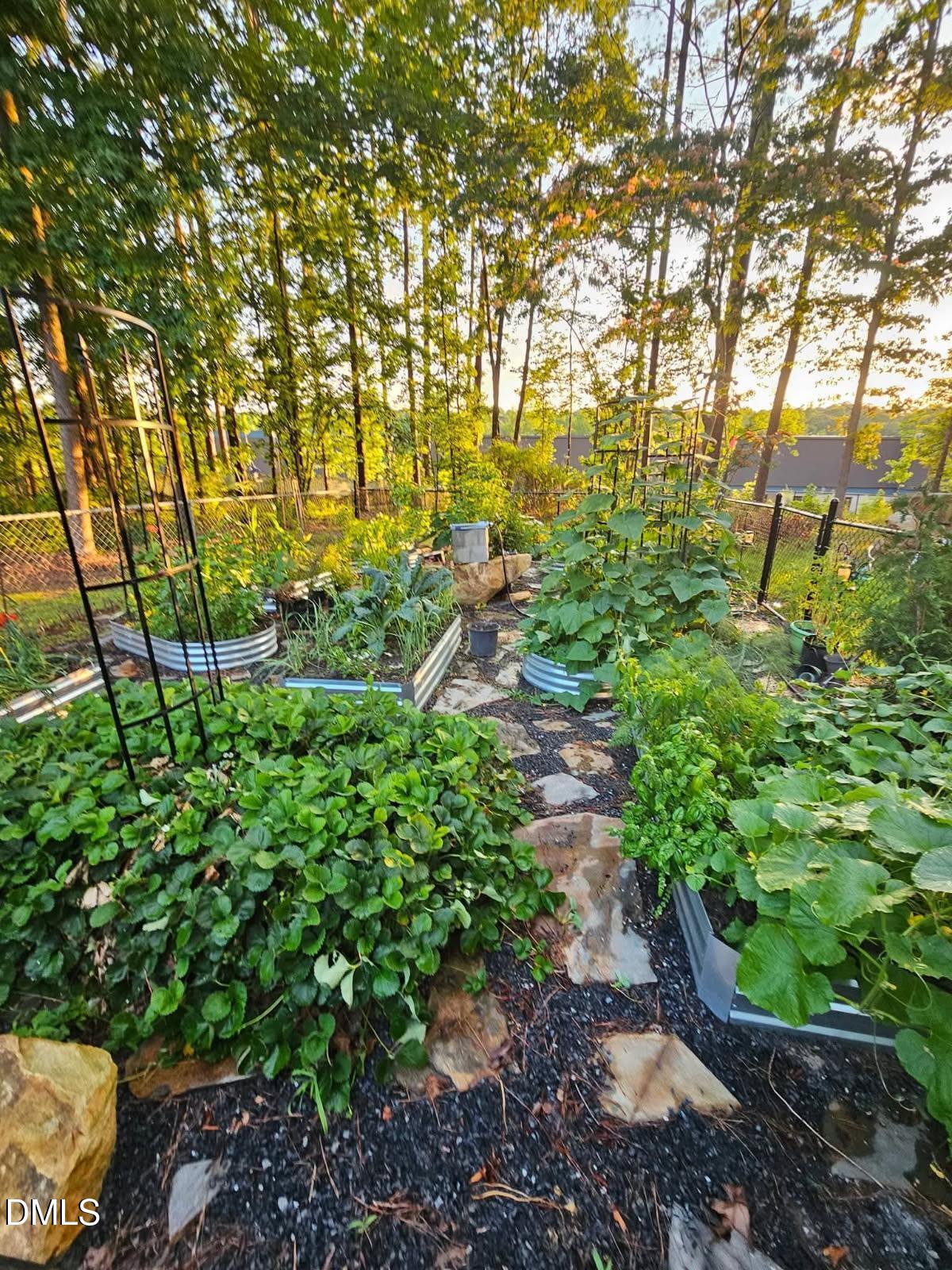 2020 Spring Valley Drive Clayton, NC 27520 - Photo 29 of 32 a view of a garden with large trees