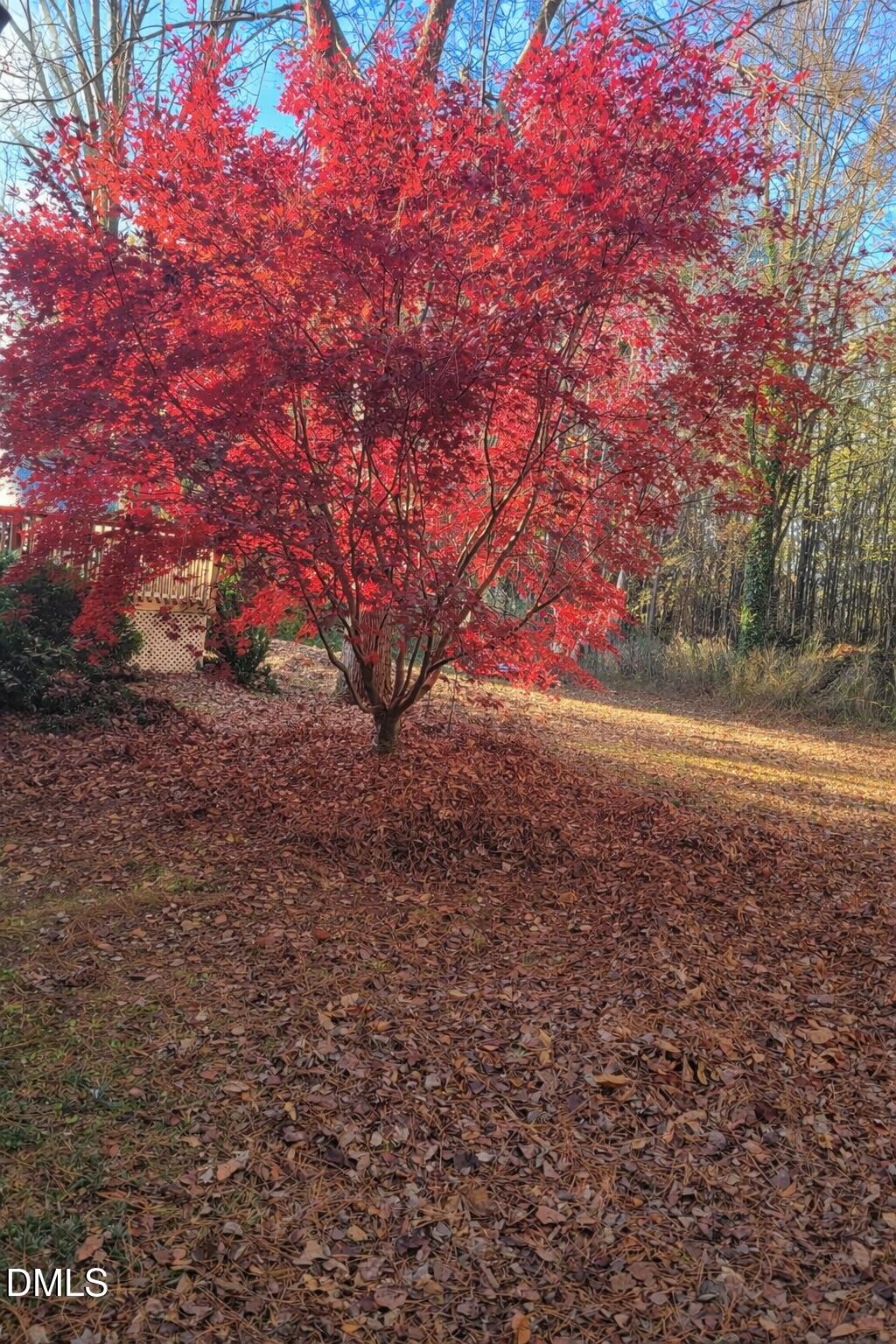 2020 Spring Valley Drive Clayton, NC 27520 - Photo 30 of 32 a view of road with trees