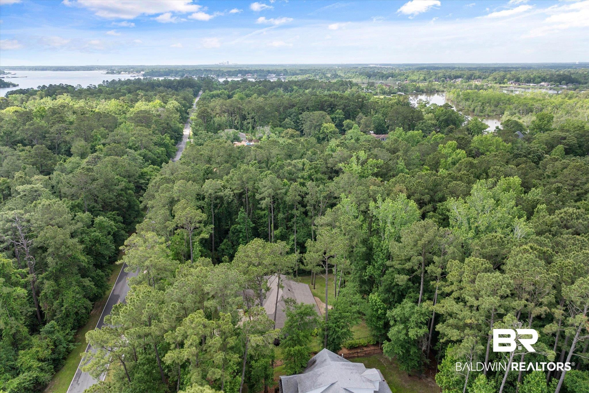 3250 Riviere Du Chien Road Mobile, AL 36693 - Photo 44 of 49