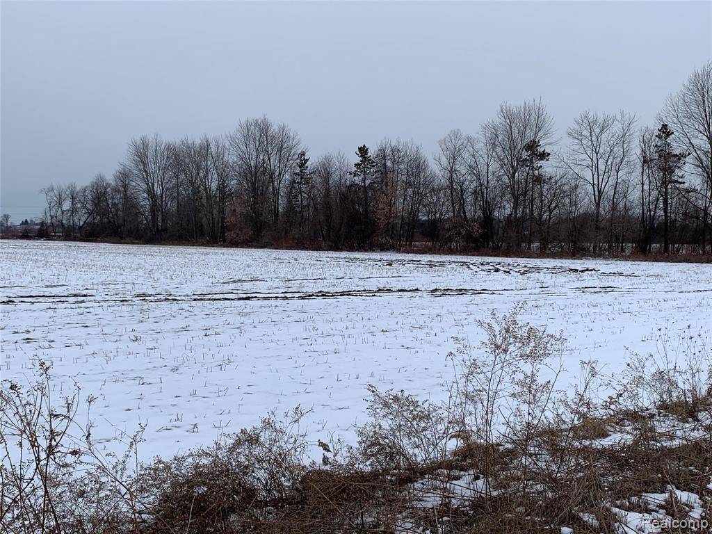 17198 34 Mile Road Armada, MI 48005 - Photo 4 of 5 Gallery Image 4