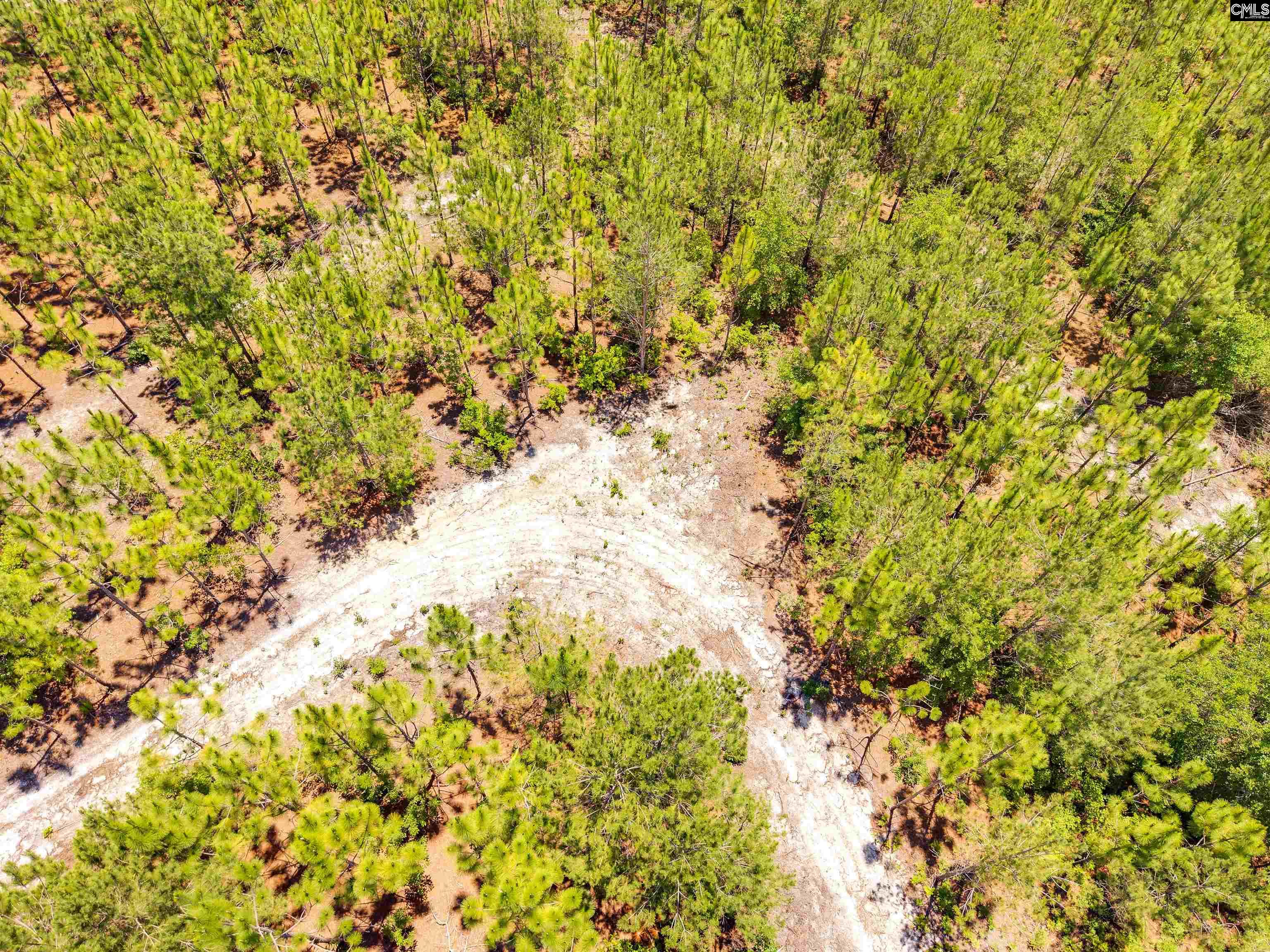 1549 Lawhorn Road Camden, SC 29020 - Photo 16 of 17