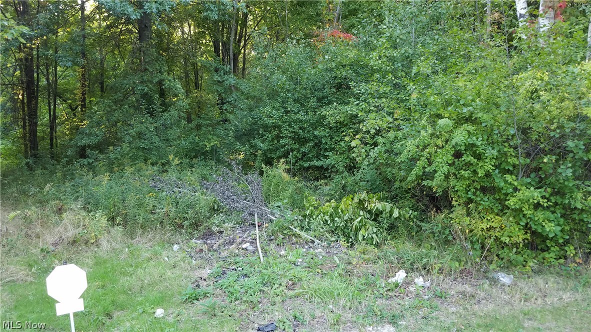 5933 Ninevah Road Ashtabula, OH 44004 - Photo 9 of 35
