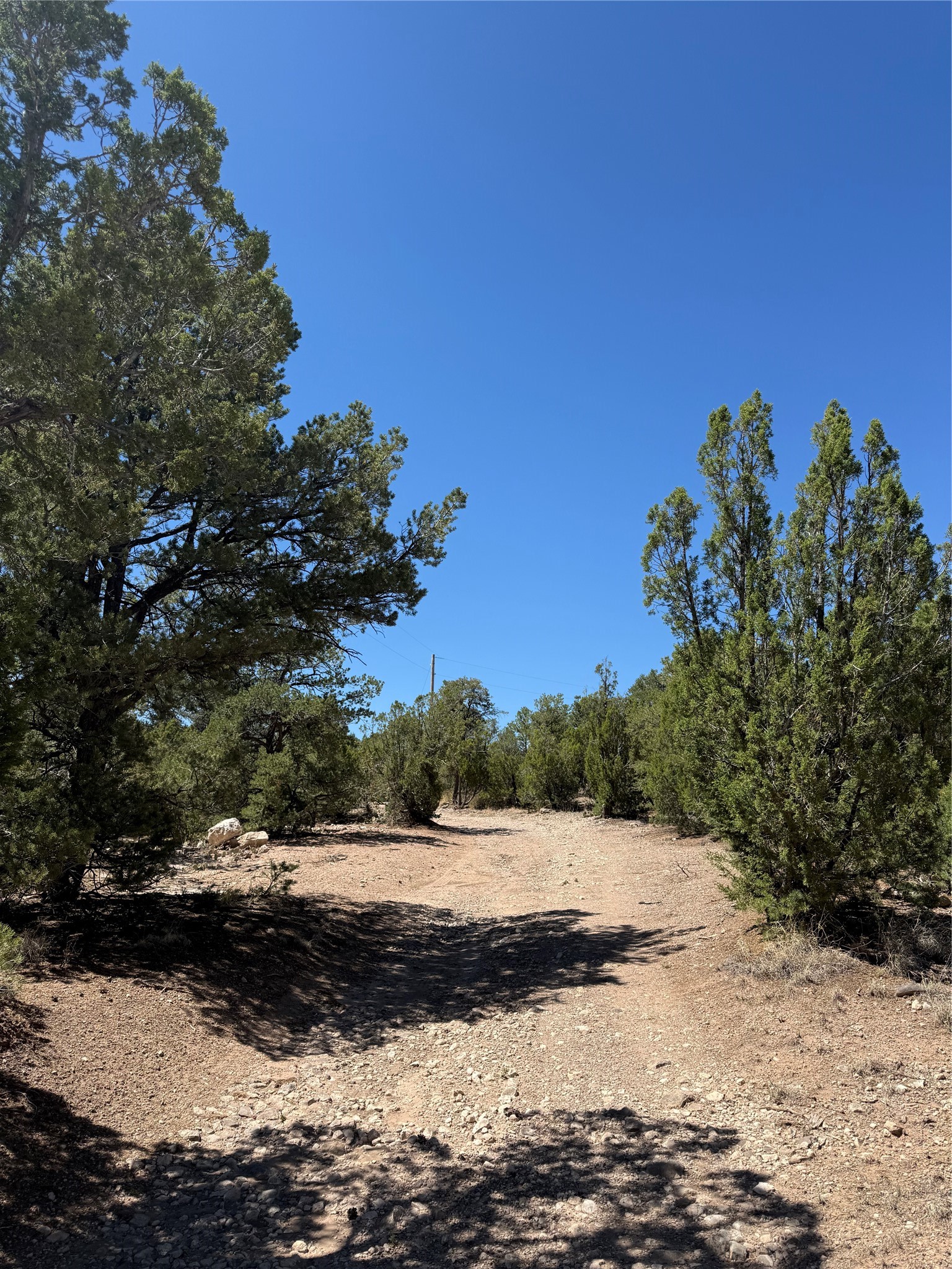 174 Hidden Valley Ranch Road Ilfeld, NM 87538 - Photo 26 of 30