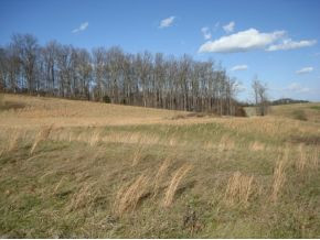 342 Kinchloe Mill Road, Unit 4 Jonesborough, TN 37659 - Photo 3 of 3 Photo 3