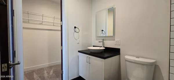 a bathroom with a sink and a toilet